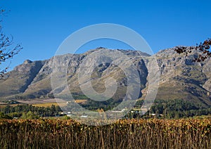 Landscape of the Western Cape along the Route 62 in South Africa