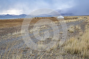 Landscape of Western Mongolia