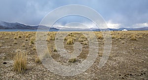 Landscape of Western Mongolia