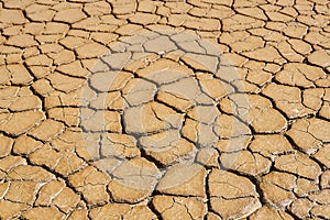 Landscape - wet clay surface with mudcracks