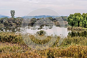 Landscape of wetlands in Iksan, Korea