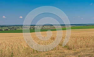 Landscape with wheat agriculrural fields near Dnipro city, Ukraine