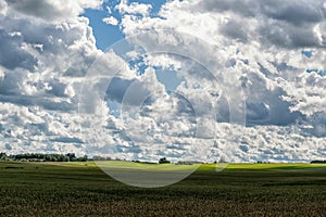 Landscape with Wheat Field and Cloudy Blue Sky in Background. Sunlight and Wide Shadows Area.