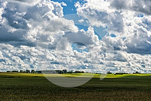 Landscape with Wheat Field and Cloudy Blue Sky in Background. Sunlight and Wide Shadows Area.