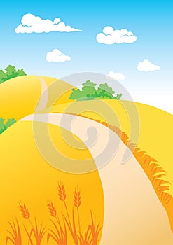 Landscape with wheat fields