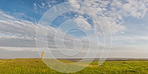 Landscape of Wild Steppe