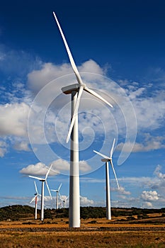 Landscape with wind towers