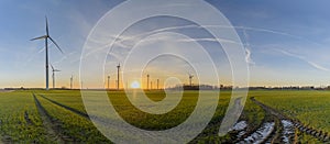 Landscape with wind turbines, budding winter wheat with tractor tracks in a field and agricultural silo on the background. Windmil