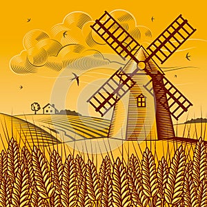 Landscape with windmill