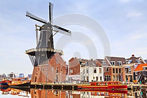 Landscape with the windmill, Haarlem, Holland