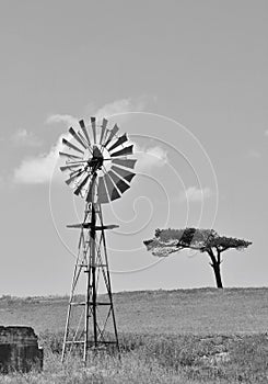 Windmill water pump photo