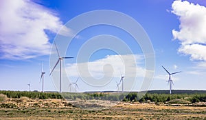 Landscape with windmills in a county Cork