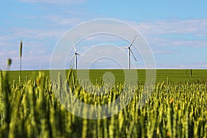 Landscape with windmills for green electric power