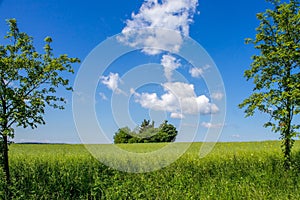 Landscape window, idyll with green meadow and wide sky