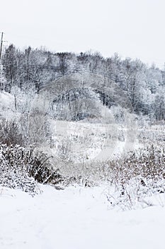 Landscape in the winter cloudy day