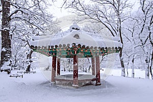 Landscape in Winter with falling snow in Seoul, Korea.