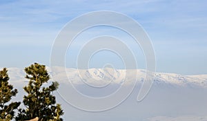 Landscape with winter forest and bright sunbeams