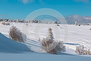 Landscape with winter forest and bright sunbeams.