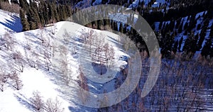 Landscape winter forest. Mountain area. A group of people goes and rides in the mountains on a snow-covered trail.