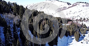 Landscape winter forest. Mountain area. A group of people goes and rides in the mountains on a snow-covered trail.