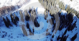 Landscape winter forest. Mountain area. A group of people goes and rides in the mountains on a snow-covered trail.