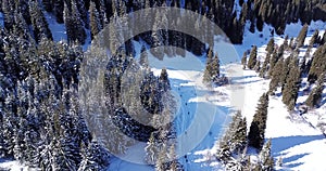 Landscape winter forest. Mountain area. A group of people goes and rides in the mountains on a snow-covered trail.