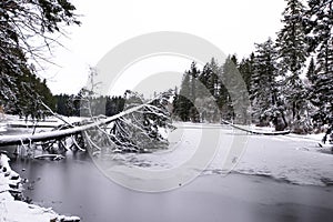 Landscape winter frozen Lakamas lake with fallen tree covered wi