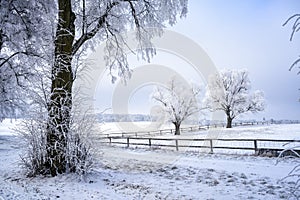Landscape in winter in Masuria