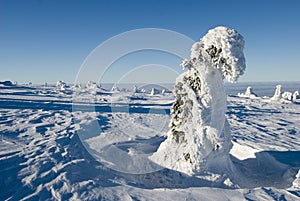 Landscape - winter mountains