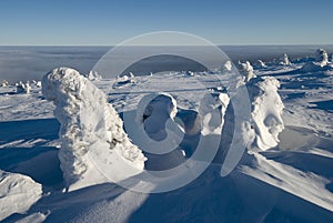 Landscape - winter mountains