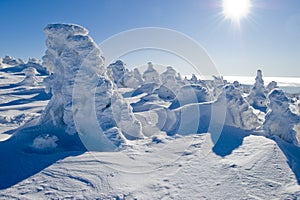 Landscape - winter mountains
