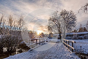 Landscape of winter park with bridge on foreground