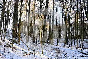 Landscape in Winter at the Stream Bohlenbach in the Forest Eckernwort in the Town Walsrode, Lower Saxony