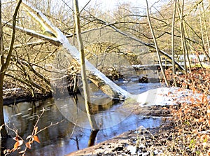 Landscape in Winter in the Valley of the River Fulde in the Town Walsrode, Lower Saxony