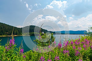 Landscape withb beautiful lake  , Bolboci  , Romania