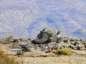 Landscape of Wolfberg Cracks