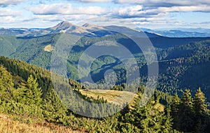 The landscape with the wooden hut and fence on the lawn with green fir trees, high mountains covered by forests, sky with clouds.