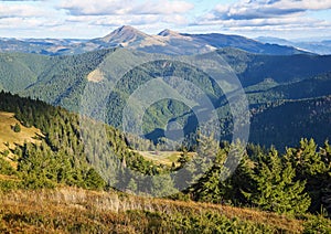 The landscape with the wooden hut and fence on the lawn with green fir trees, high mountains covered by forests, sky with clouds.