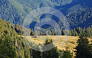 The landscape with the wooden hut and fence on the lawn with green fir trees, high mountains covered by forests. Touristic resort.