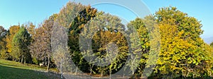 Landscape of woods during the autumn season with warn colors