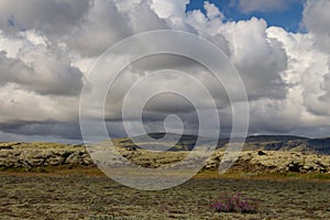 Landscape with wooly moss of Iceland, empty field, cloudy sky, icelandic summer.