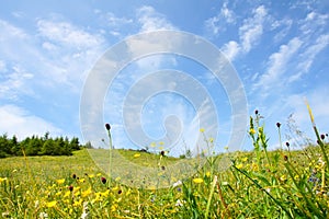 Landscape of Wutaishan