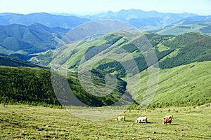 Landscape of Wutaishan