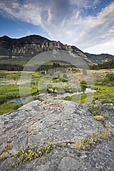 Landscape of Wyoming