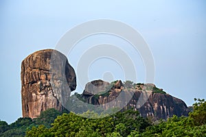Landscape Yala National Park, Sri Lanka