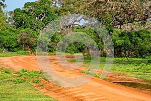 Landscape of Yala National Park, Sri Lanka