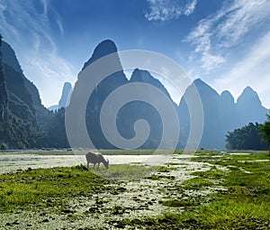 Landscape in Yangshuo Guilin