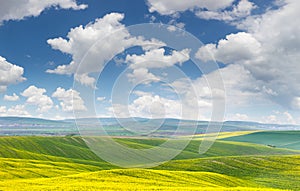 Landscape of yellow - green fields on the hills, blue sky with