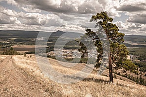 landscape of yellow meadow on top of the mountains or hills. Nature park reservations and outdoor environment