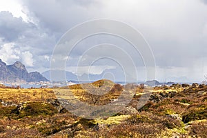 View of Ure village, in the Lofoten Islands, Norway photo